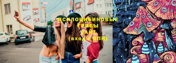 эйфоретик Краснослободск