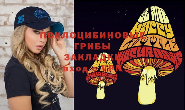 spice Куйбышев